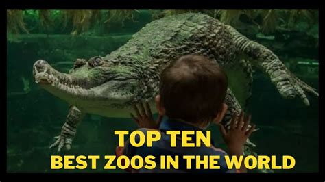 Most Viewed Zoo Porn Videos .